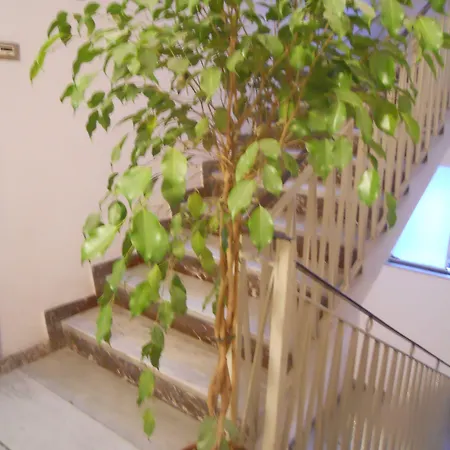 Crossing - & Comforts