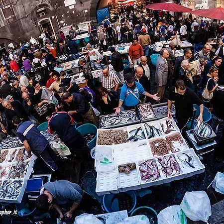 Crossing - & Comforts 4*