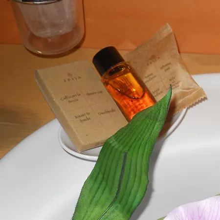 Crossing - & Comforts