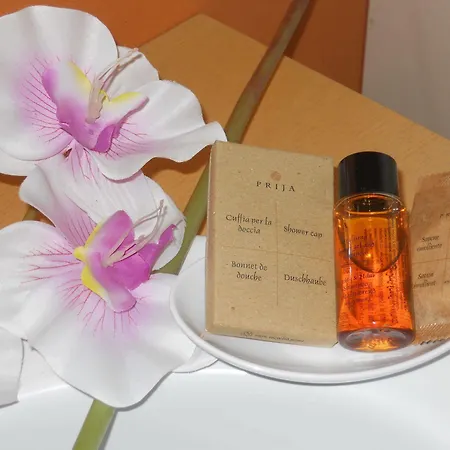 Crossing - & Comforts Alojamento de Acomodação e Pequeno-almoço 4*