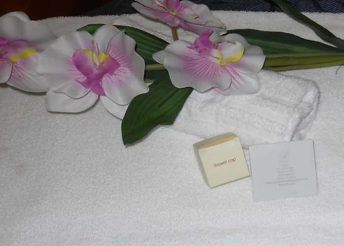 舒适客房卡塔尼亚克鲁森住宿加早餐酒店 住宿加早餐酒店 卡塔尼亚