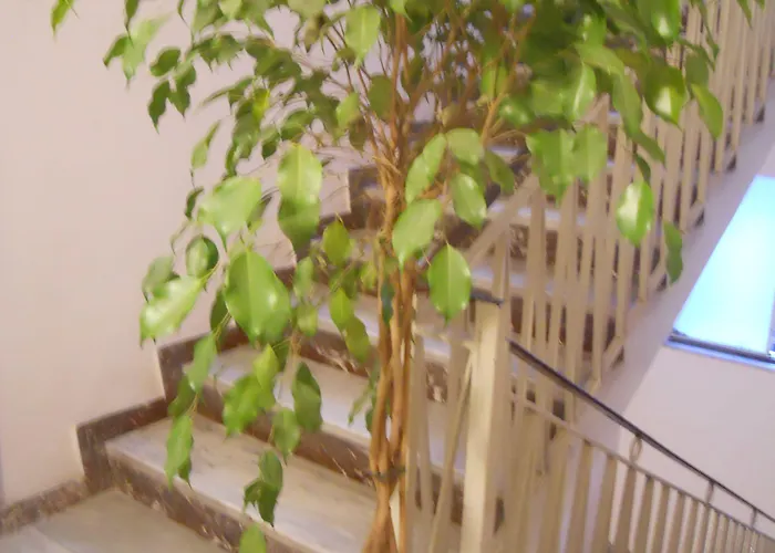 舒适客房卡塔尼亚克鲁森住宿加早餐酒店