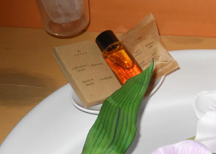 舒适客房卡塔尼亚克鲁森住宿加早餐酒店