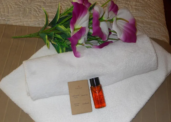 舒适客房卡塔尼亚克鲁森住宿加早餐酒店 4* 卡塔尼亚